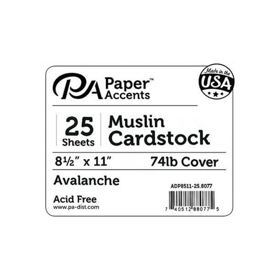 Paper Accents Cardstock 8.5"x 11" Muslin 74lb Avalanche 25pc