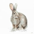 thumbnail image 2 of Audit, Lisa 12x12 White Modern Wood Framed Museum Art Print Titled - Forest Friends VIII, 2 of 4