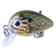 thumbnail image 3 of Advancent Juego de Señuelos de Pesca Duros, 10 Piezas, Insectos Surtidos, Kit de Señuelos de Pesca para lubina, Crankbait Duro para Agua Dulce Pescar, 3 of 6