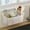 White#3, variant on QAZbgdl Wall Mounted Bathroom Organizer | Adhesive Shower Shelf with Toothbrush Holder | Transparent Plastic Storage Box for Counter Cabinet Kitchen | Small Toiletries Organizer for Razors Cosmetics