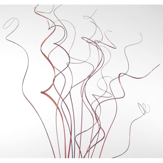 GreenFloralCrafts Dried Floral Filler Extra Tall Curly TingTing 3.5 ft