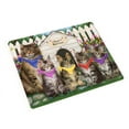 thumbnail image 1 of Spring Dog House Maine Coon Cats Blanket BLNKT86187, 1 of 3