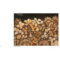 thumbnail image 6 of Jean Dubuffet: Metamorphoses of Landscape (Paperback), 6 of 14