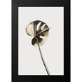 thumbnail image 2 of 1x Studio III 13x18 Black Modern Framed Museum Art Print Titled - Monstera Gold 06, 2 of 5