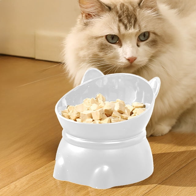 Comedero grande para gatos con soporte - plato elevado para animales para soporte del cuello, capacidad de 450 ml, diseño ancho y poco profundo que evita la fatiga de los bigotes, base
