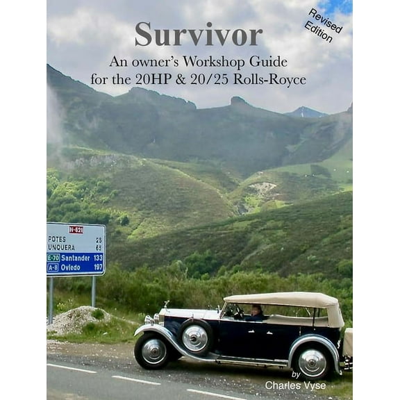 Survivor (Paperback)