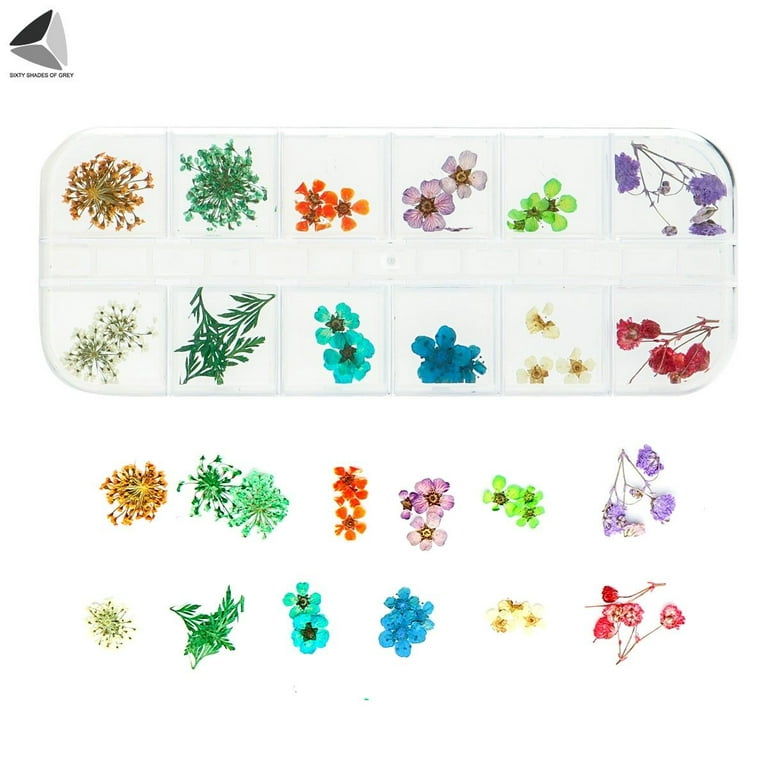 Real Dried Flowers 3D Nail Art Decors Design DIY Tip Manicure Box Set Mix  Color☆