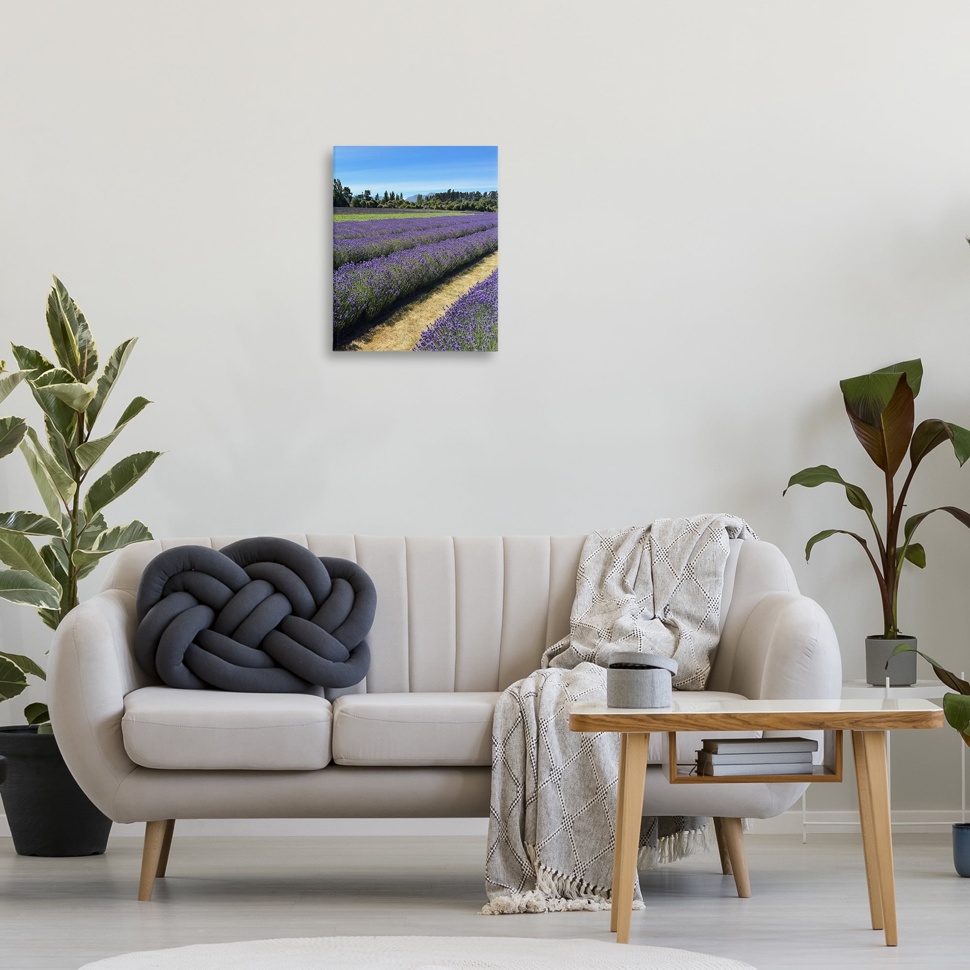 Stupell Industries Lavender Path Landscape Landscape Photography Gallery Wrapped Canvas Art Print Wall Art, 16 x 20