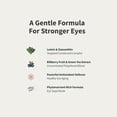 thumbnail image 4 of Snap Supplements Eye Health, Lutein, Zeaxanthin, Bilberry Extract, Lycopene - 60 Capsules, 4 of 11