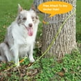 thumbnail image 5 of Petfamily Dog Stake and Tie Out Cable with Buffer Spring for Medium to Large Dogs, Green, 25FT 90LBS, 5 of 9