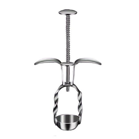 yaaqii Cherries Corer Tool for Cherry Olive Pits Tool Kitchen Corer Fruit Core Stoner Tool