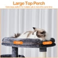 thumbnail image 3 of Árbol para Gatos Heybly HCT034G de 180 cm de Altura con 2 Perchas y 2 Condominios, 3 of 9