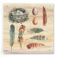 thumbnail image 1 of Epic Art 'Spiced Nature X' by Lisa Audit, Acrylic Glass Wall Art, 24"x24", 1 of 5
