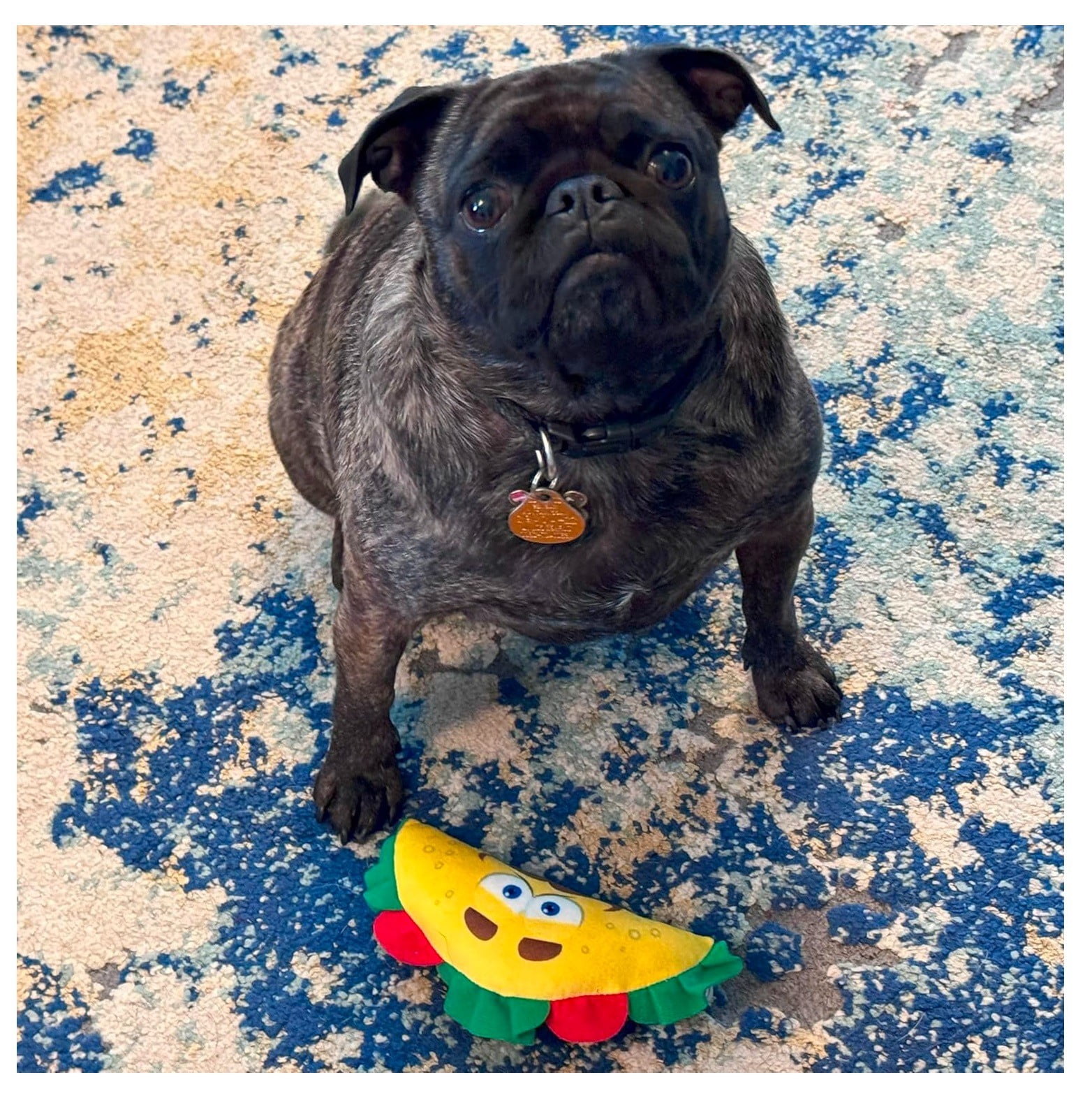 Soft Taco Dog Toys Fun interactive Squeaker Small to Medium Dogs Choose Quantity (3 Taco Toys)