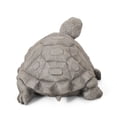 thumbnail image 6 of GDF Studio Delphos Outdoor Turtle Garden Statue, Dark Gray, 6 of 7