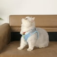 thumbnail image 6 of Breathable Cats Harness With Adjustable Straps And Safety Buckles For Small Pet Dog Outdoor Comfortable Walking Gear, 6 of 8