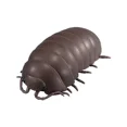 thumbnail image 5 of Juguetes originales de Bandai Gashapon, insectos gigantes, gusanos de la píldora, cochinillas, mariquitas, isópodos gigantes, articulaciones móviles, modelos de simulación, adornos y dijes, 5 of 5