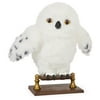 Image thumbnail_image