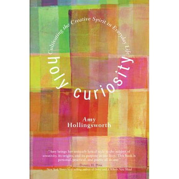 Holy Curiosity (Hardcover)