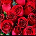 thumbnail image 2 of Jo Malone Red Roses Bath Soap 100g/3.5oz, 2 of 5