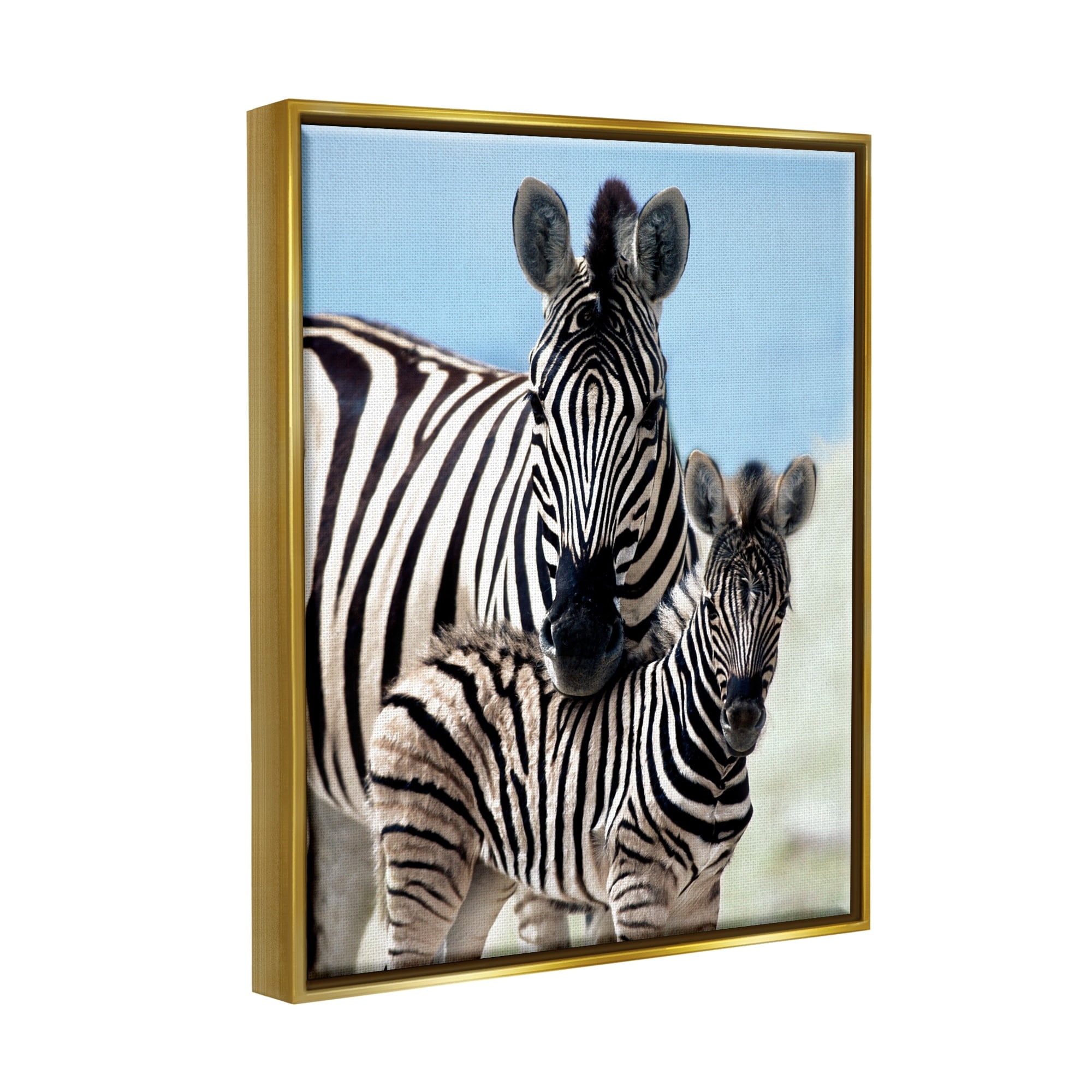 Stupell Industries Uplifting Zebra Family Mother Child Savanna Animals Photograph Metallic Gold Floating Framed Canvas Print Wall Art, Design by Danita Delimont