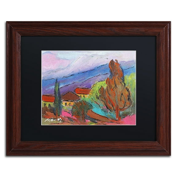 Trademark Fine Art "Summer Blush" Canvas Art by Manor Shadian Black Matte, Wood Frame