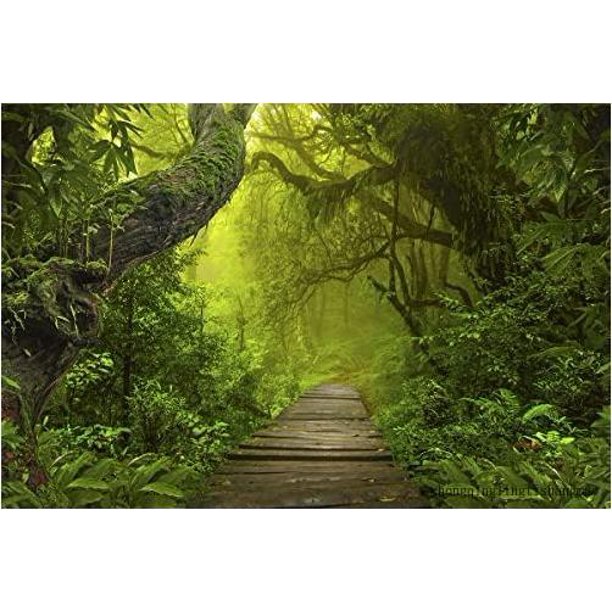 aquarium terrarium backgrounds main (rainforest with walkway, 36”l x 16