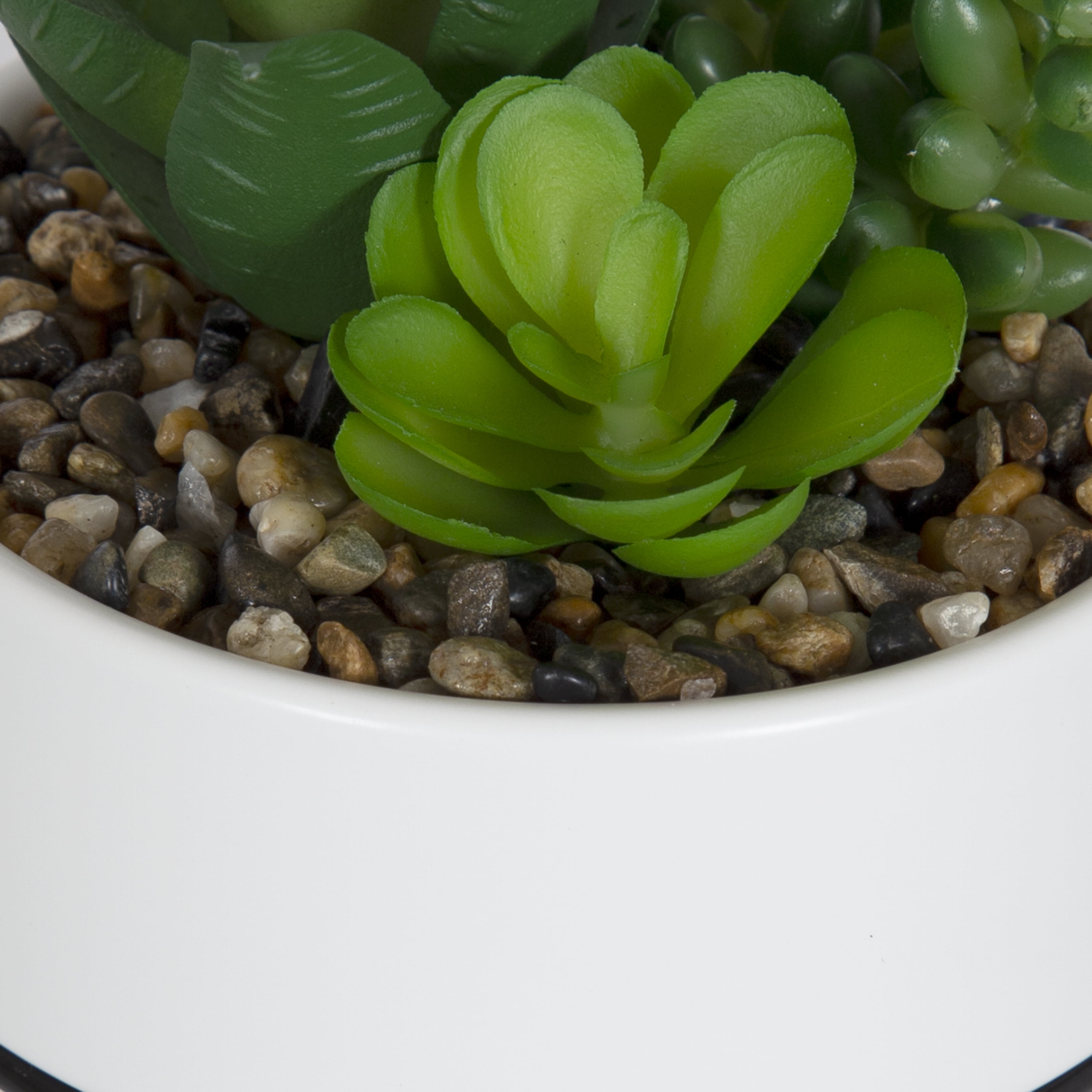 (6 pack) Mainstays 6.5 in Artificial Agave and Sedum Succulents in Ceramic Planter, Multicolor