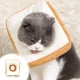 thumbnail image 5 of Cuello de Cono de Gato Cuello Redondo de Gato Ajustable Suave Cuello de Recuperación de Gato Suave Fundido Después de la Cirugía Cuello Redondo de Gato Cuello Redondo Decoración de Pan Ropa de Gato Cu, 5 of 6