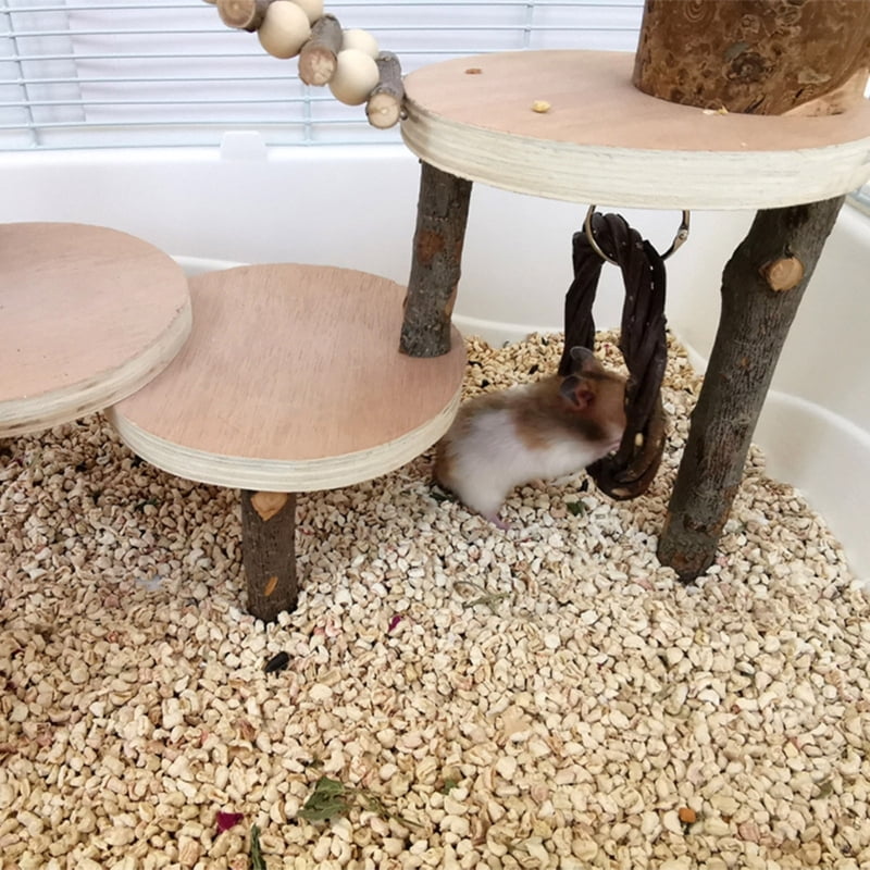 Safe and Engaging Wood Climbing Ladder Toy for Hamster Suitable for Creating a Stimulating Environment for Exercise
