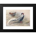 thumbnail image 2 of George Edward Lodge 14x11 Black Modern Framed Museum Art Print Titled - Hainan Silver Kaleege (1918-1922), 2 of 5