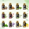thumbnail image 4 of MAYJAM 35x5ml Essential Oils Set for Diffusers, Humidifiers, Massages, Aromatherapy, Candle Making, Skin & Hair Care, 4 of 9
