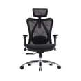 thumbnail image 1 of Silla Ergonómica Premium Eco Randu – Diseño Ergonómico Avanzado con Soporte Lumbar Ajustable, Cabecera y Malla Transpirable – Máxima Comodidad para Oficina y Home Office, 1 of 7