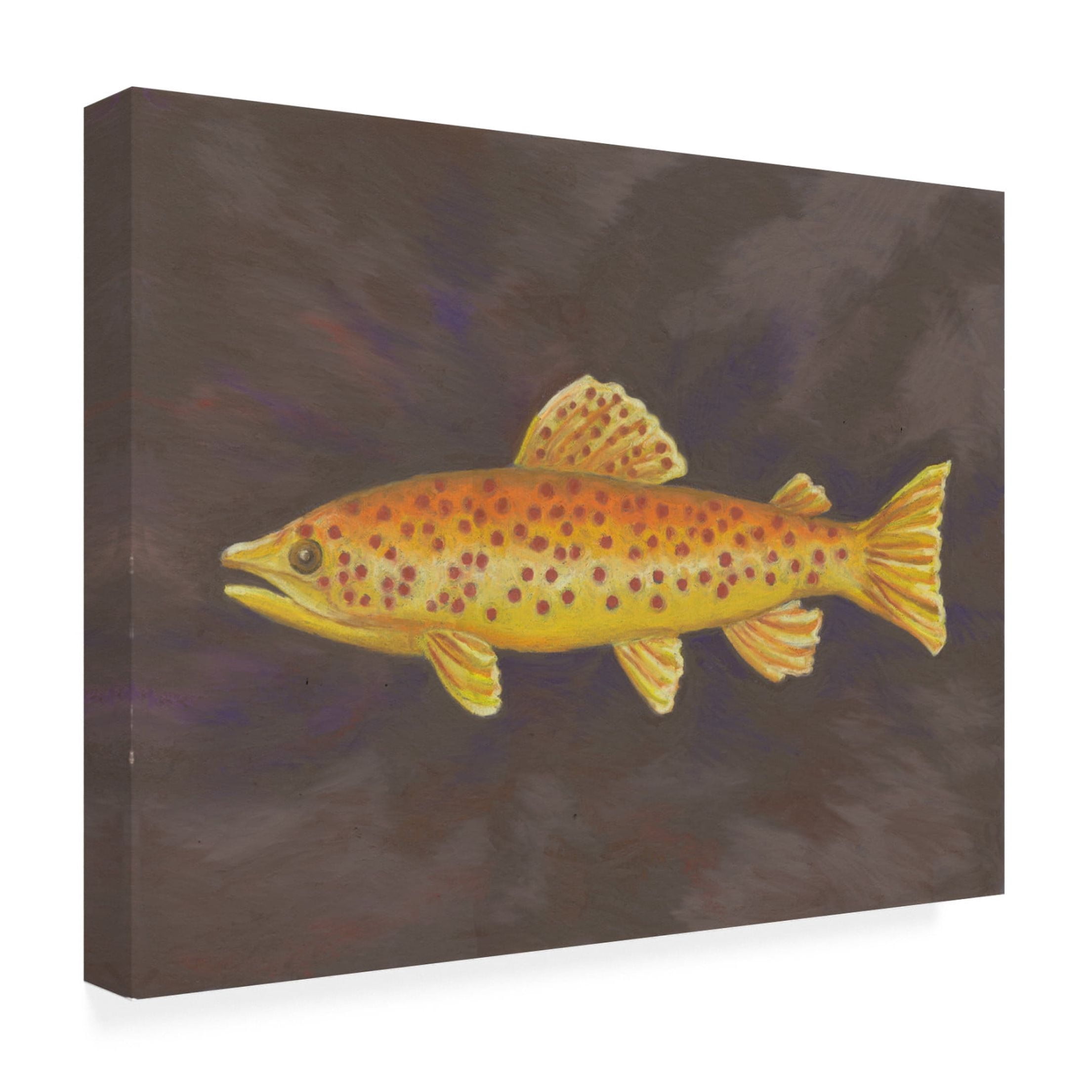 Canvas Wall Art - Andrea Strongwater 'Fish Spotted Trout' Wall Art for Living Room, Bedroom, or Office Décor by Trademark Fine Art - 47 x 35 Inches