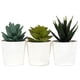 thumbnail image 1 of Pequeñas suculentas artificiales, Juego de 3 plantas suculentas de imitación, decoración para el hogar moderno, mesa, oficina, escritorio, estante de baño, decoración, 1 of 5