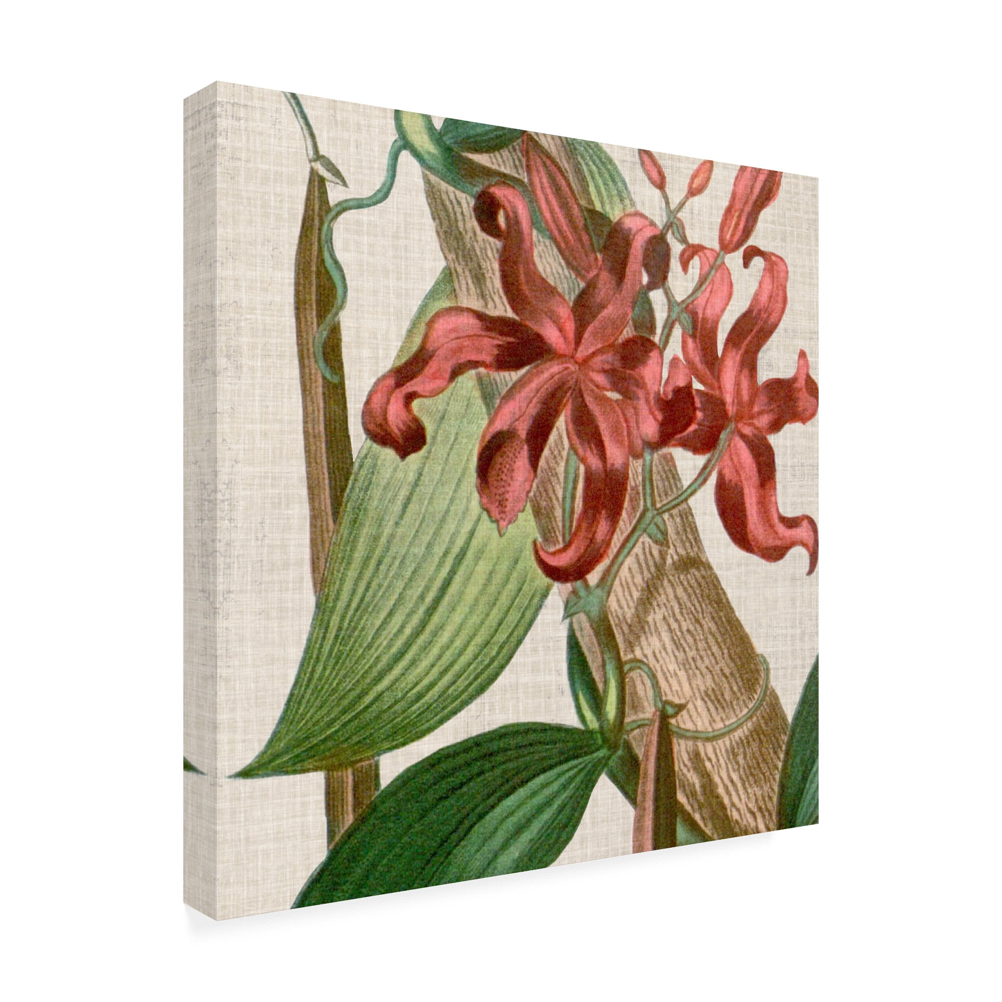 Cropped Turpin Tropicals IX' Canvas Art by Vision Studio
