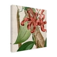 thumbnail image 2 of Cropped Turpin Tropicals IX' Canvas Art by Vision Studio, 2 of 4