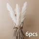 thumbnail image 4 of Hierba de pampa seca natural para decoración, arreglos florales para fiestas y bodas. 6 uds grande, 4 of 9