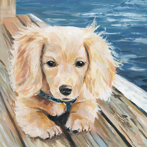 Parvez Taj Cuddly Puppy Canvas Wall Art