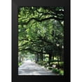 thumbnail image 2 of Hausenflock, Alan 17x24 Black Modern Framed Museum Art Print Titled - Savannah Sidewalk I, 2 of 5