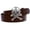 Brown, variant on Skull and Cross Bone Pirate Halloween Costume Belt Multi-Color Options