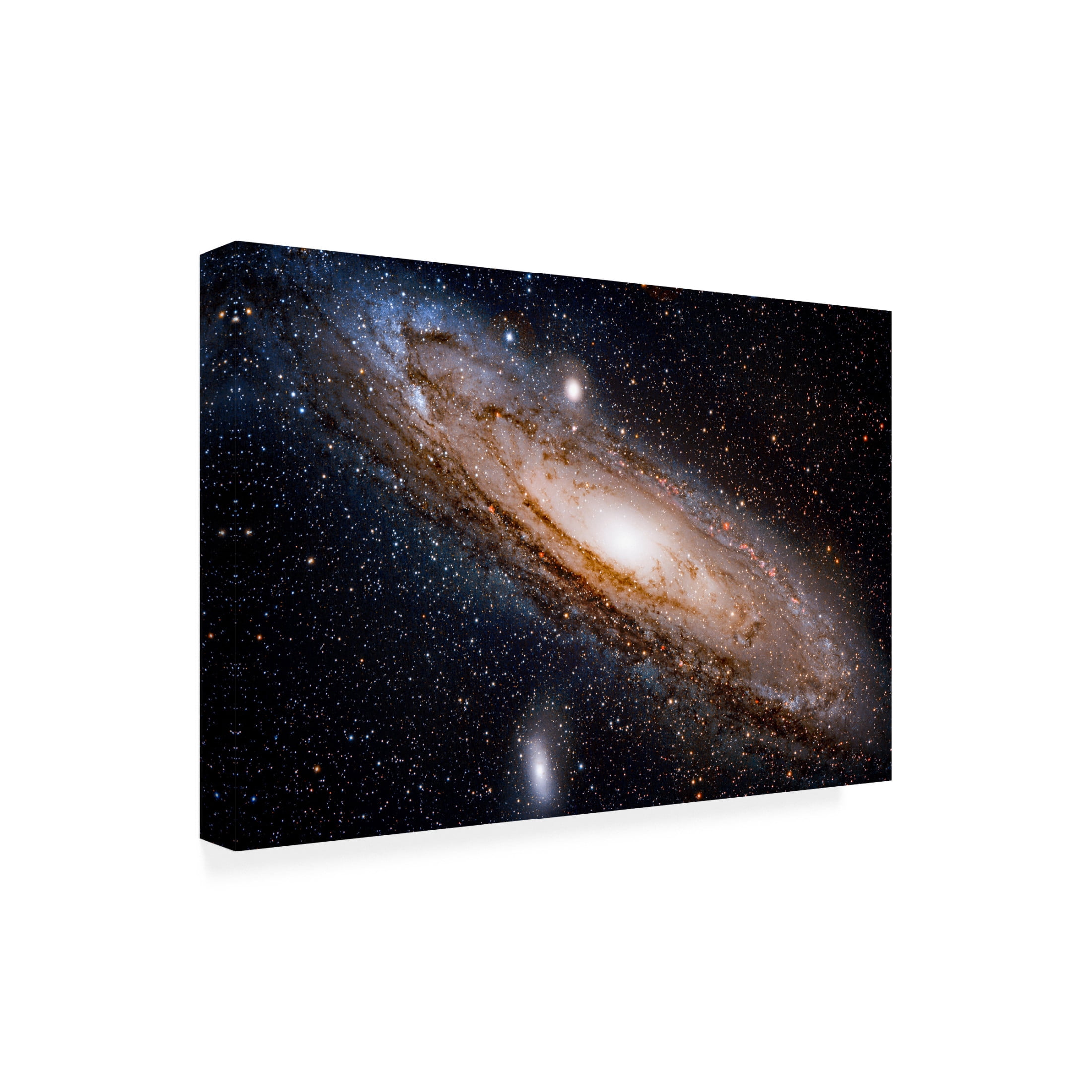 Trademark Fine Art David Dayag Andromeda Galaxy Canvas Wall Art