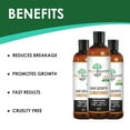 thumbnail image 4 of WildRoots Growth Conditioner for Shiny, Thick Hair & Volume | All Hair Types, 8 fl oz, 4 of 7