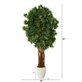 thumbnail image 2 of Nearly Natural 6' Lychee Artificial Tree in White Planter, 2 of 4