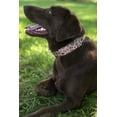 thumbnail image 2 of Country Brook Petz® Giraffe Martingale Dog Collar Limited Edition, 2XS, 2 of 7