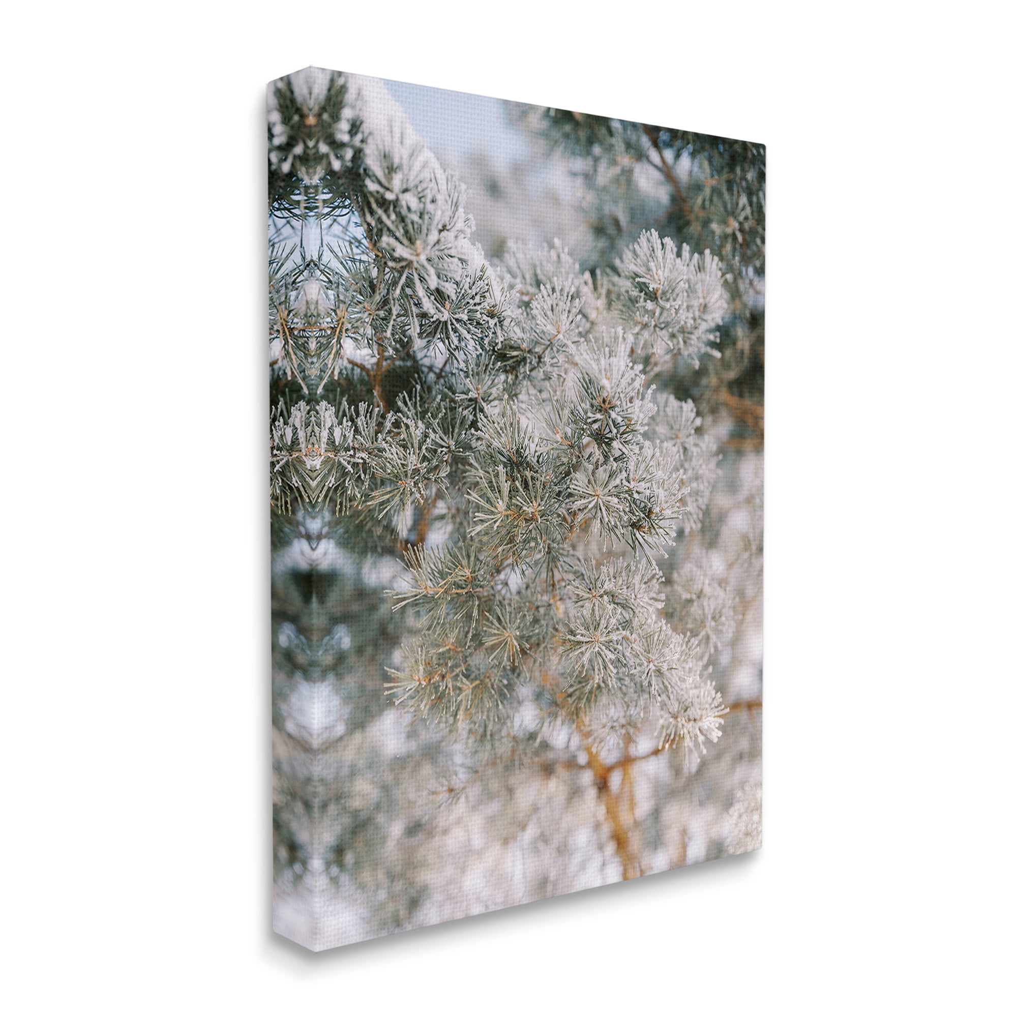 Stupell Industries Frosted Fir Tree Branches Landscape Photography Gallery Wrapped Canvas Art Print Wall Art, 36 x 48