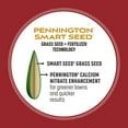 thumbnail image 5 of Pennington Smart Seed Perennial Ryegrass Grass Seed, for Full Sun, 3 lb., 5 of 19
