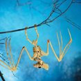 thumbnail image 4 of Esqueleto de Halloween Colgando Hueso de murciélago Calavera de animal espeluznante yeacher, 4 of 8