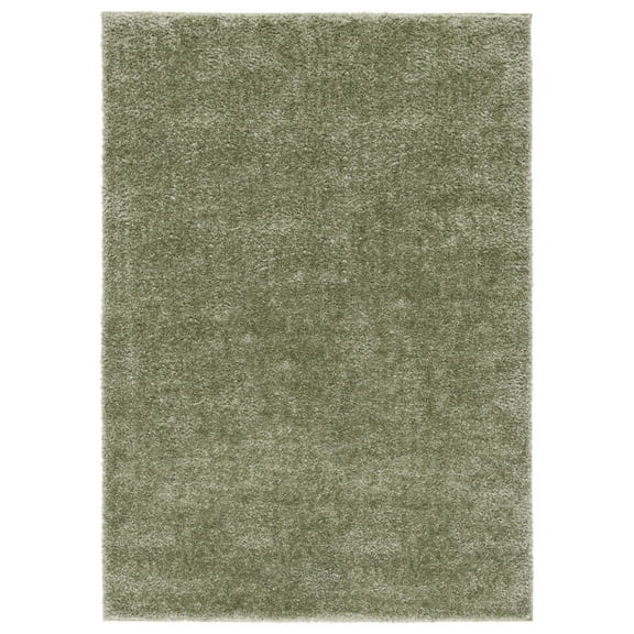 SAFAVIEH Tahoe Joey Modern Shag Area Rug, 5' x 7', Sage