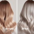 thumbnail image 2 of Just Nutritive Purple Toning Shampoo & Conditioner Set for Blonde, Gray, White, Silver, and Bleached Hair, Eliminate Brassiness, Boost Shine, Repairs, Hydrates, Anti-Yellowing, 8 oz., 2 of 9